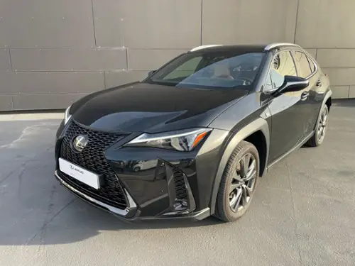 UX 250h UX 250h